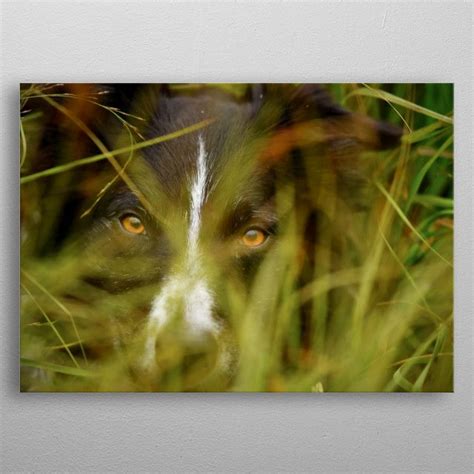 Metal art decor, custom signs, outdoor enhancements & more for any metal wall art. 'Dog' Metal Poster - Naso | Displate | Poster making ...