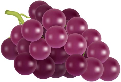 Grapes clipart red grape, Grapes red grape Transparent ...