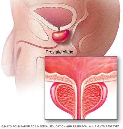 Prostate massage can have benefits, including treatment and prevention of prostatitis and erectile dysfunction, as well as improved urine flow. How-to: Prostate Massage — Sexual Health