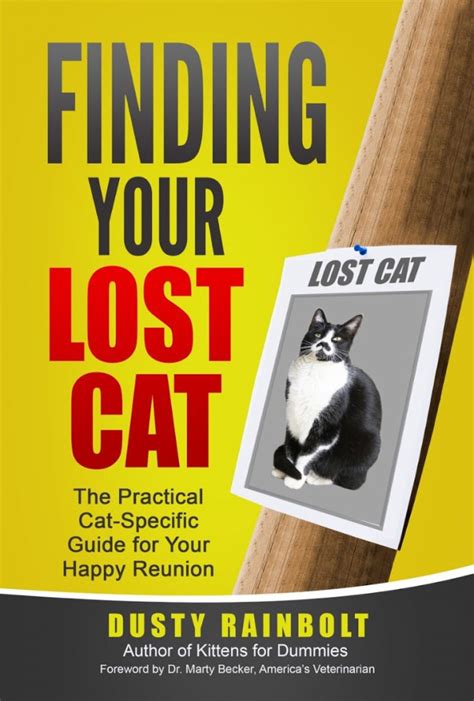When you are lost in grief and sorrow. 4 Myths about Lost Cats for Lost Pet Prevention Month ...