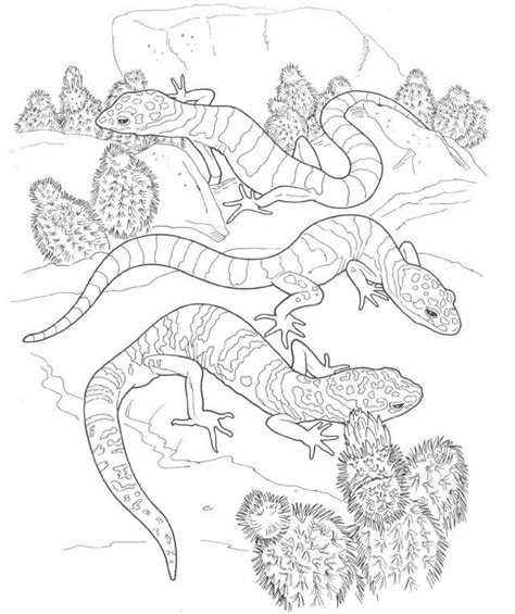 Coloring pages are fun for children of all ages and are a great educational tool that helps children develop fine motor skills, creativity and color recognition! Gecko Coloring Page - Coloring Home