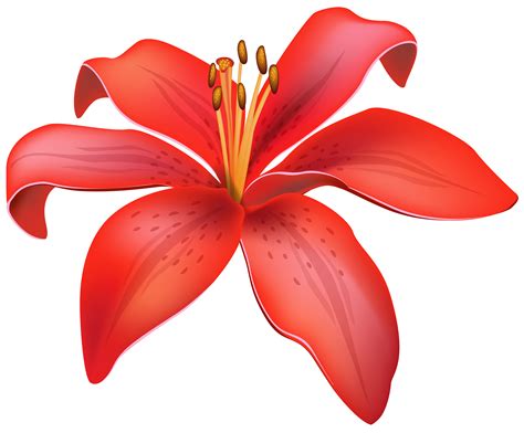 Red lily flower clipart web png - Clipartix