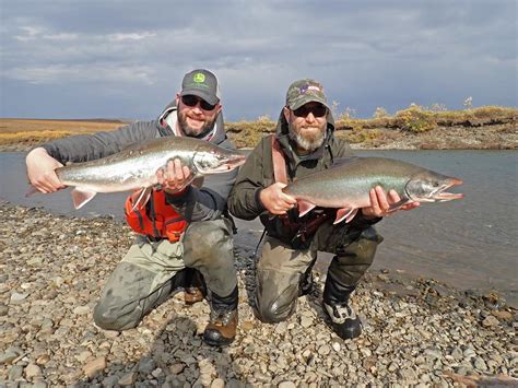 We did not find results for: Ugashik Lakes question and a Wulik River report