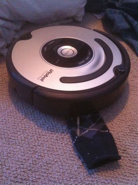 Maybe you would like to learn more about one of these? My Roomba snuck into my bedroom, ate one of my socks, and ...