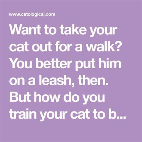 Jun 30, 2020 · 3 methods for helping your cat lose weight cat weight loss food. Want to take your cat out for a walk? You better put him ...