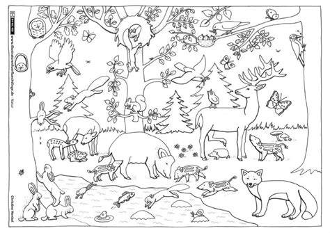 Todos los últimos estrenos del cine en cartelera para poder disfrutarlas desde la comodidad de tu hogar. Wald Tiere | Színezőlapok, Színező gyerekeknek, Iskolai ...