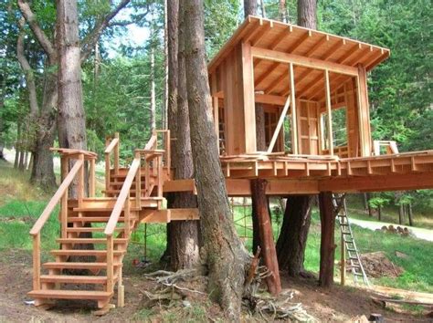 Leave out the roofing and build only the elevated platform. tree house kids - Google Search | Tree house diy, Tree ...