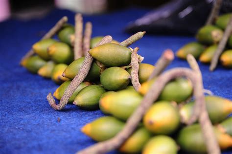 Panaskan minyak, tumiskan serai dan daun limau purut hingga wangi, masukkan hirisan bawang besar dan cili padi. Tradisi Mengunyah Pinang : Tradisi - Situs Budaya Indonesia