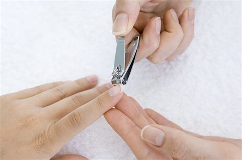 You want to avoid swallowing the wire at all costs. What Is The Best Nail Clipper Brand? ~ Top Brands Reviewed ...