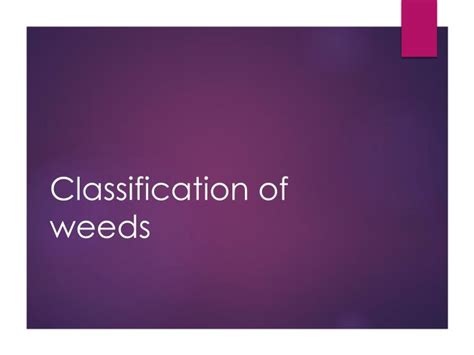 Maybe you would like to learn more about one of these? PPT - Classification of weeds PowerPoint Presentation ...