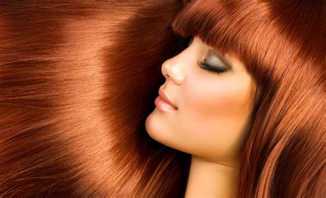 La farfalla vola verso il cane con i capelli lunghi. Colorare I Capelli Bianchi Con Il Caffe - Colorare