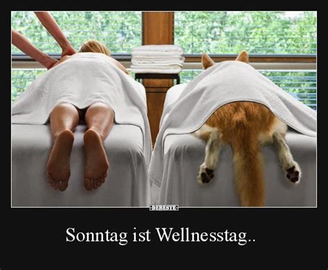 Sprüche, schöne gedichte, kurze zitate, lustige texte, weisheiten rund um den sonntag, sonntagsgrüße. Sonntag ist Wellnesstag.. | Haustier humor, Hundesprüche ...