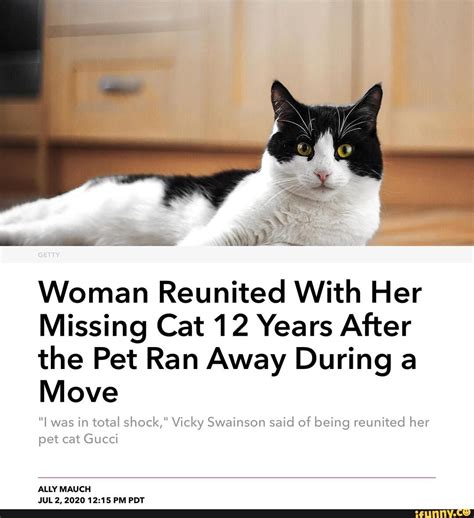 Why do cats run away? Woman Reunited With Her Missing Cat 12 Years After the Pet ...