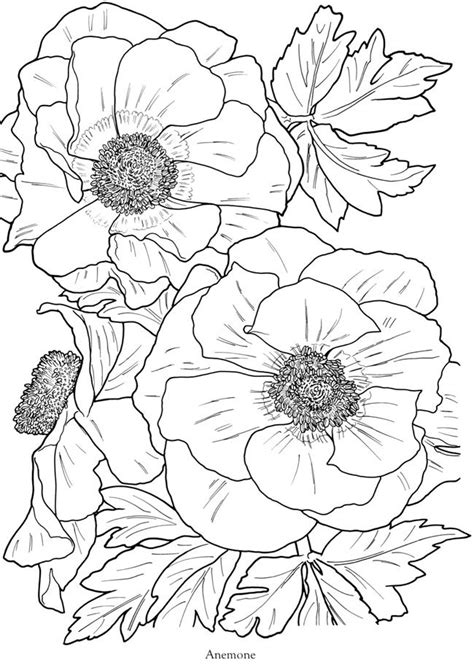 See more ideas about coloring pages, colouring pages, flower drawing. anemone | Flower coloring pages, Flower drawing, Coloring ...