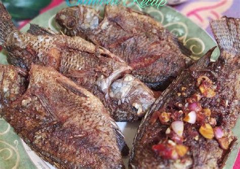 Memasak ikan gabus oseng manis pedes. Resep Ikan Nila Goreng Sambal Terasi / Resep Nila Goreng ...