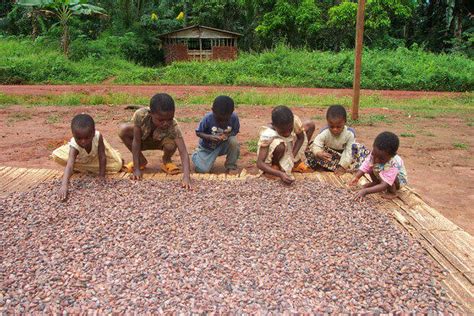 Im süden hat das land eine küste am atlantischen ozean. Kinderarbeit auf Kakaoplantagen - Multiwatch