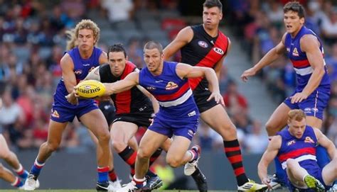 Bulldogs round 8 featured player. Western Bulldogs in Melbourne | My Guide Melbourne