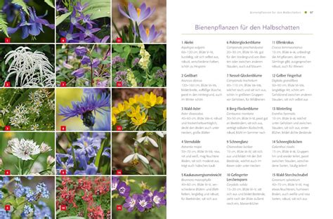 Bei mein schöner garten finden sie zahlreiche anregungen zur gartengestaltung und gartenarbeit sowie hilfreiche gartentipps und pflanzeninformationen. Shop Mein Schoener Garten De Heft Angebote Schön ...