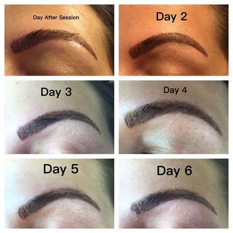 Check spelling or type a new query. Microblading the first week, day by day photos of ...