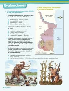 Ir al sitio de respuestas. Evaluaciones - Ayuda para tu tarea de Tamaulipas. La ...