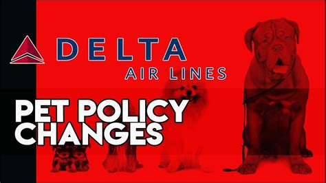 Maybe you would like to learn more about one of these? Delta Changes Their Pet Policy - YouTube
