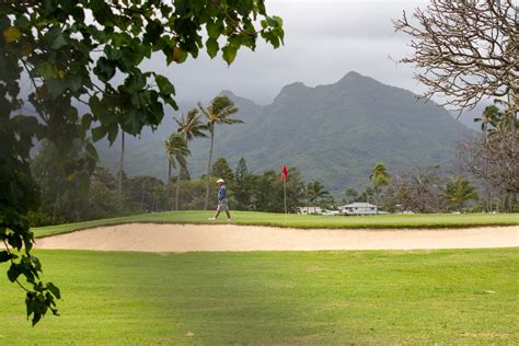 The dealers listed here have reputable reputations and to the best of our knowledge have not. Some Oahu Businesses Will Reopen Thursday With ...