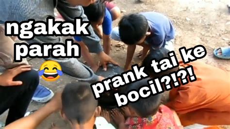 Sapi dengan posisi melintang sesekali menengok ke arah kanan dan kiri sambil berdiam di tengah jalan beraspal itu. Ngakak?! prank tai sapi ke bocil 😂 - YouTube