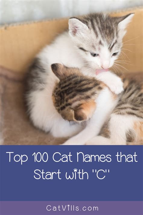 A list of adjectives starting with c to describe a person. 100 Cat Names that Start with C - CatVills | Cat names ...