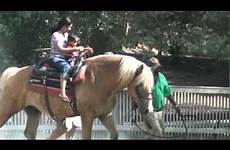 zoo ride horse