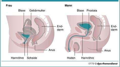 Da das scheidenmilieu bereits im ungleichgewicht und die blase entzündet ist, sorgt wiederholte mechanische reibung für eine zusätzliche belastung. Blasenentzündung nach Sex? So schützen Sie sich