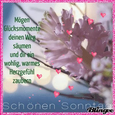 Facebook twitter pinterest odnoklassniki whatsapp telegram viber share via email. ein Bild für's Herz 'Guten Morgen.jpg'- Eine von 1435 ...