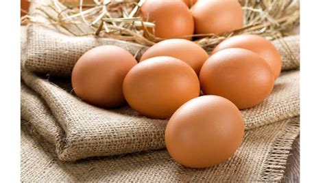 Vitamin e present in eggs protects the hair and scalp from sun damage. Egg for Hair Fall/Loss: How to Use Egg/Egg Mask for Hair ...