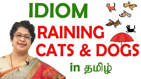 Phrases, sayings, proverbs and idioms at. RAINING CATS AND DOGS Idiom Meaning | English Idioms in ...