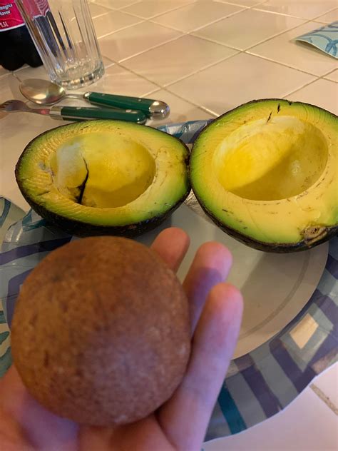 Avocado seed is 60% of the avocado, nature scammed me ...