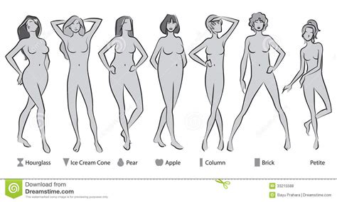 *the curvy hourglass figure is also known as figure 8. Female Body Shapes stock vector. Illustration of lifestyle ...