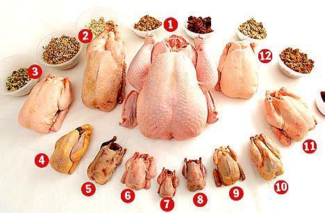 Las aves que habitualmente comemos, son animales ...