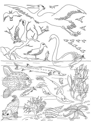 (day 7 is not shown in the picture.)use these sheets to reinforce your creation bible unit study. Days Of Creation Coloring Pages Ideas - Whitesbelfast.com