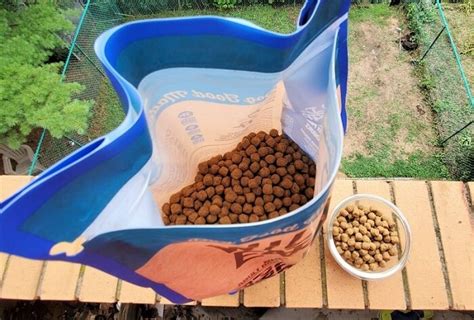 What makes wild earth different from other dog food is they have 31% protein in their kibble, without meat. Wild Earth Dog Food Review 2020 - We're All About Pets