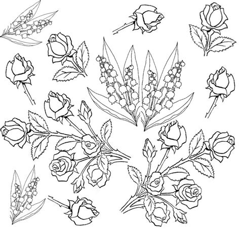 Top 15 ausmalbilder fur erwachsene blumen avec bilder zum ausmalen. Blumen Rosen Ausmalbilder Fur Erwachsene - Malvorlagen