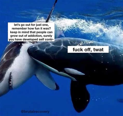 Only to drunkenly think you've missed it, and a panicked hour of searching later you check again i worked in a school, the teachers said the fast way to sober up is to run into students. Memes You Won't Be Court-Ordered To Quit (23 Sober Memes)