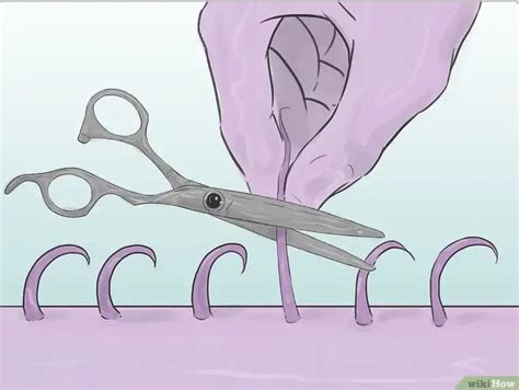 How to shave your pubic area for men: How to shave your pubes after wiping out 50% of all life ...