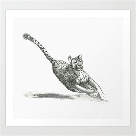 Draw two parallel lines to give shape to the body easily. Buy Running Cheetah Drawing Art Print by scarletwild ...