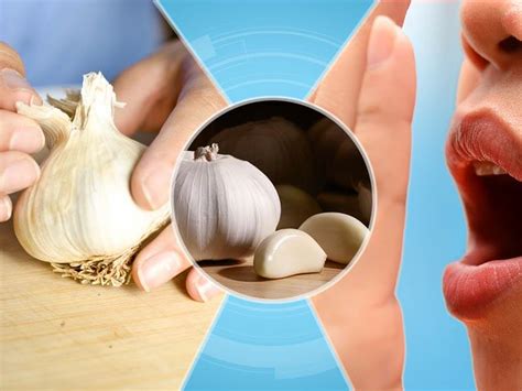 It's not only the toilet that's to blame, but the stagnant water around the sink and hi how can i get rid of really strong indian curry smell from my next door neighbors house that is coming into mine especially upstairs and in my hallway. how to get rid of garlic smell from hands and mouth dc ...