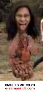 Menurut ajaran islam, sebuah mimpi memiliki arti sebuah petunjuk dan pertanda yang allah berikan. Foto penampakan Hantu Kuyang Banjar Kalimantan Islands