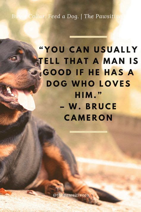 What are the causes of lymphoma? Dog Quote | "You can usually tell that a man is good if he ...