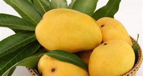 Originally, we distributors of food & beverages: 7 amazing health benefits of mangoes | TheHealthSite.com