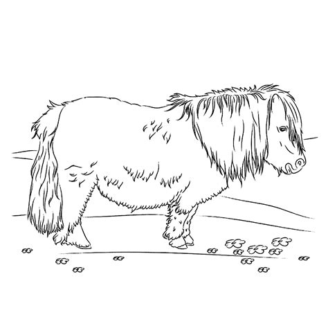 Kleurplatenwereld nl gratis dieren paarden kleurplaten downloaden by kleurplatenwereld.nl. Shetlander - Paarden, Kleurplaten en Spelletjes