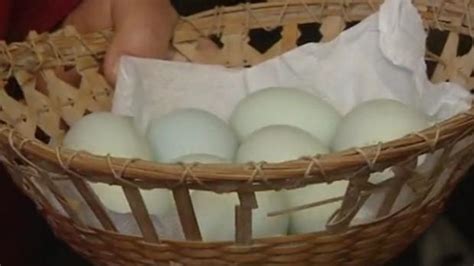 A veces los trabajadores agrícolas que apenas pueden alimentar a sus familias le traen un regalo al agricultor. La gallina canaria que pone huevos verdes