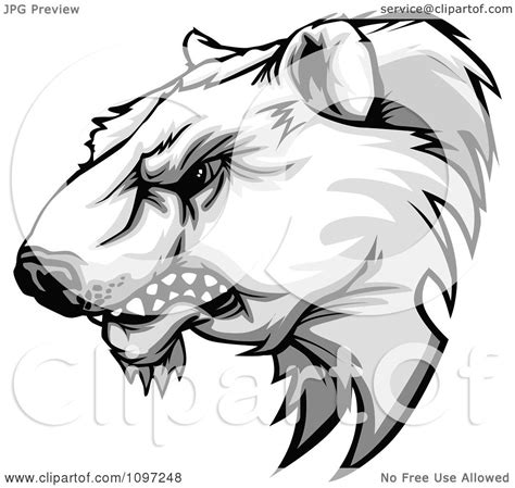 Download Clipart Aggressive Polar Bear Mascot Head Growling ...