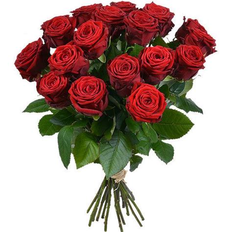 We did not find results for: Send a romantic surprise #flowers to your loved one today ...